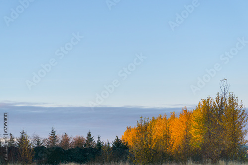 Autumn vibe in Europe with yellow and orange trees