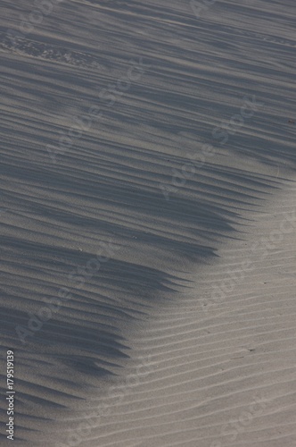 Farewell Spit Natiional Park New Zealand photo