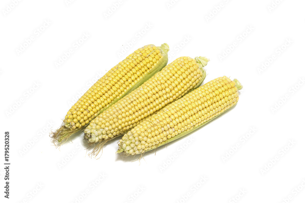 Fresh corns isolated on white background Fresh corns isolated on white background