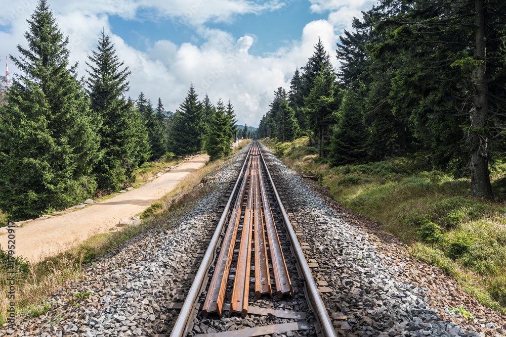 Fototapeta premium The railroad in forest of Harz, Germany