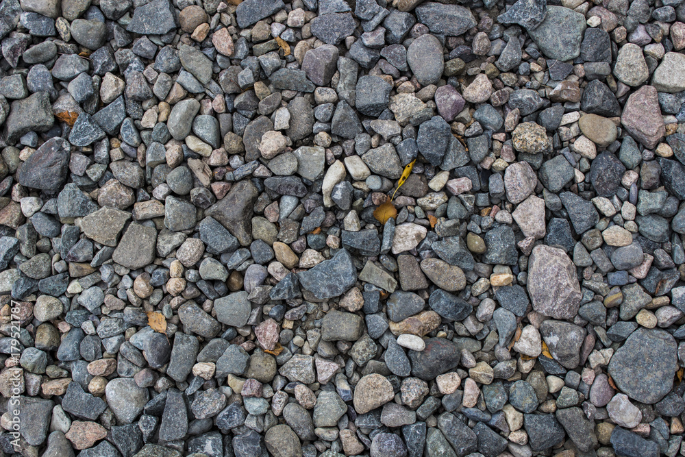 Placer of small and medium pebbles, background, texture Placer of small and medium pebbles, background, texture