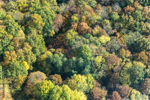 Vue aérienne de forêt à l'automne à Bazeont à l'ouest de Paris