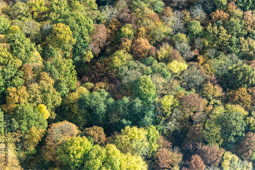 Fototapeta Naklejka Na Ścianę i Meble -  Vue aérienne de forêt à l'automne à Bazeont à l'ouest de Paris