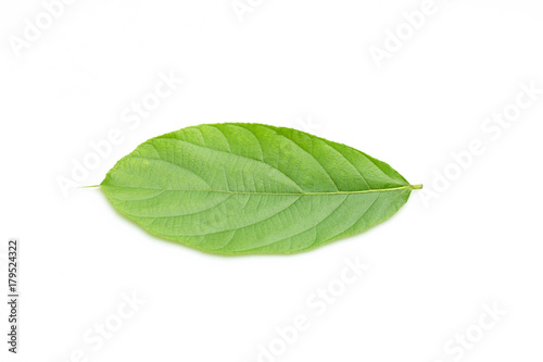 Green leaf naturally