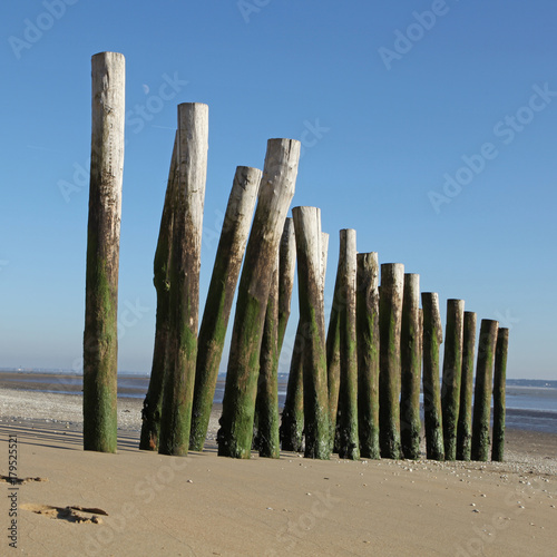 Eperon sur une plage photo