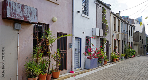 Photography Entrance to typical Australian houses decorated with flower pots in Surry Hills,