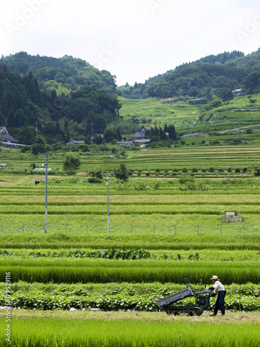 棚田の農家