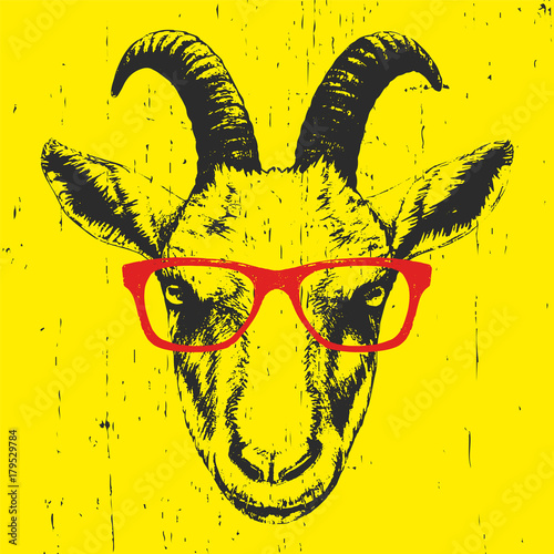  Portrait of Goat with glasses, hand-drawn illustration, vector