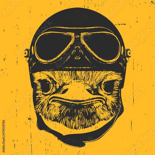 Portrait of Ostrich with vintage helmet, hand-drawn illustration, vector