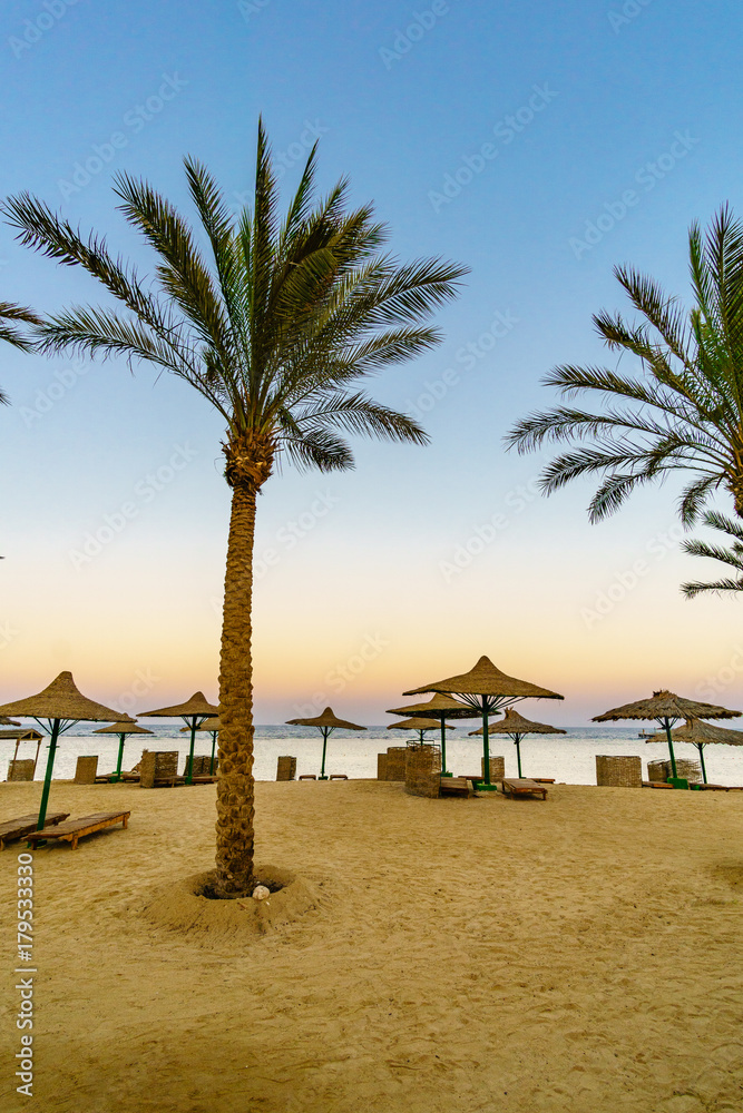 Picturesque views of the tropical beach with palm trees, parasols and sunbeds