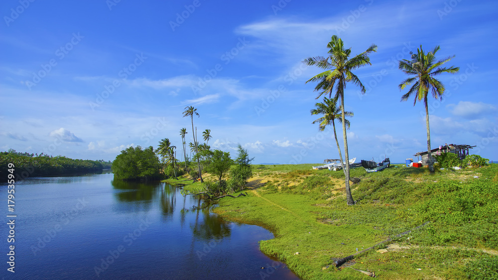 Coconut tree over blue sky background. Copyspace area. Coconut tree over blue sky background. Copyspace area.