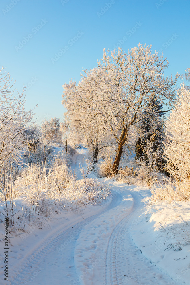 Fototapeta premium Winding road through a winter landscape
