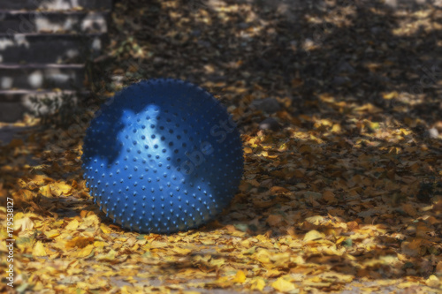 The ball for fitness lies on the autumn foliage.