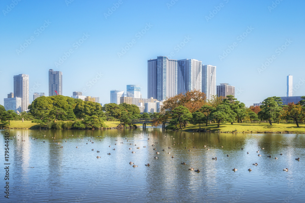 Tokyo view from the Hamarikyu Gardens. Japan.