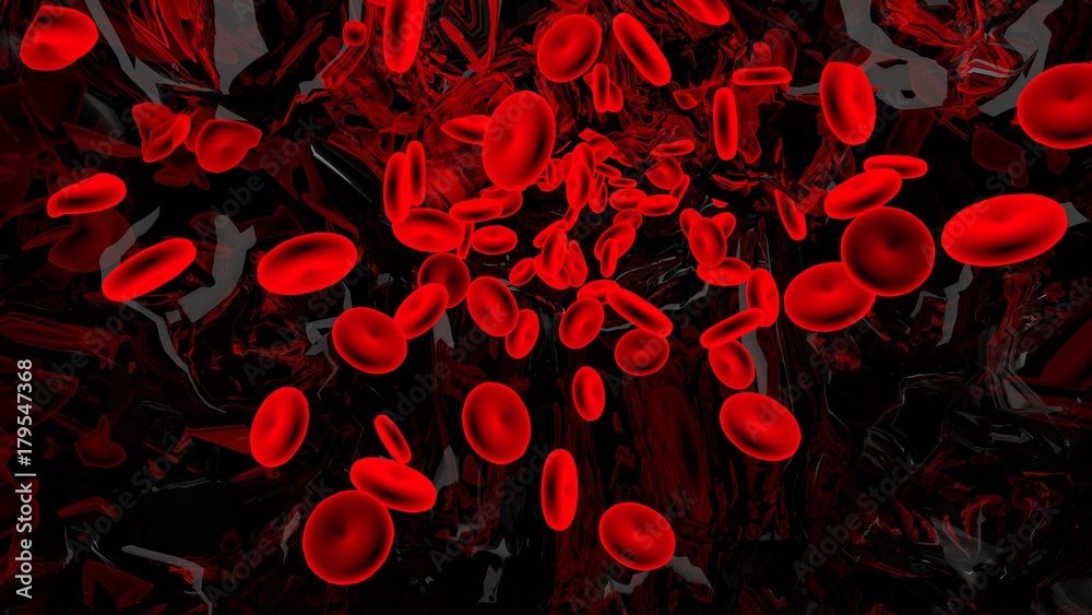 Red blood cells in transparent blood vessel.