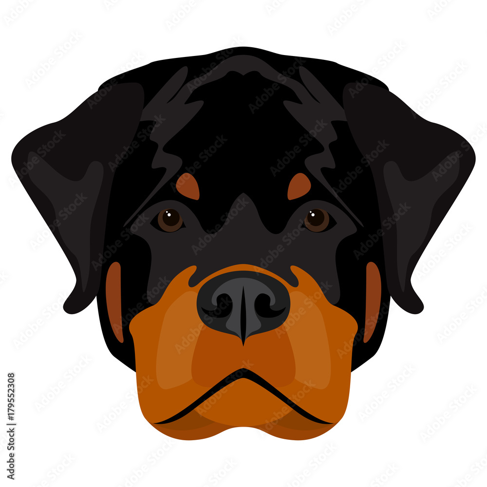 Abstract rottweiler dog head. Cartoon stylish black rottweiler dog portrait  pattern background Stock Vector | Adobe Stock