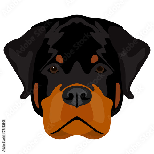 Abstract rottweiler dog head. Cartoon stylish black rottweiler dog portrait pattern background