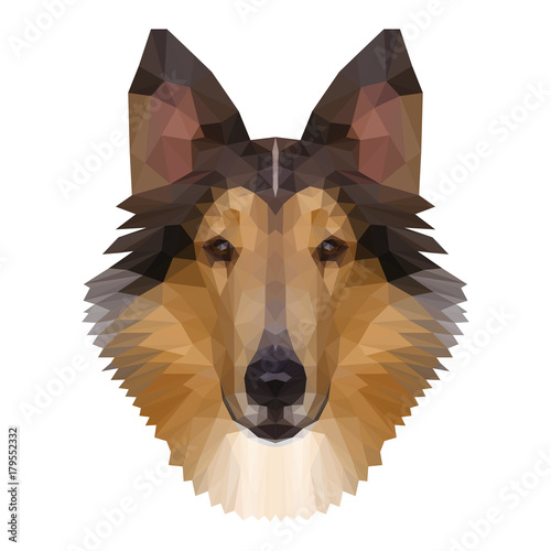 Abstract polygonal collie head. Modern low poly collie portrait pattern background