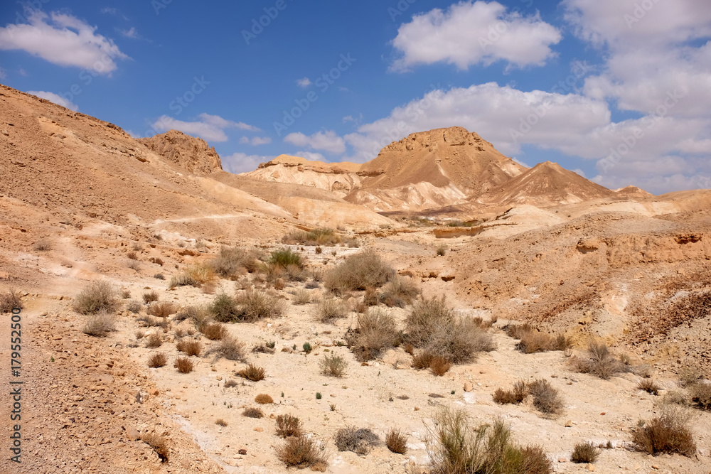 Negev desert scenic landscape.