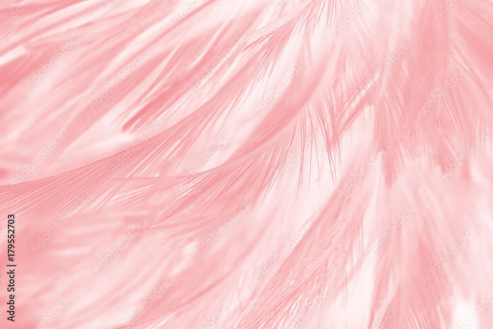 Coral Pink vintage color trends feather texture background 