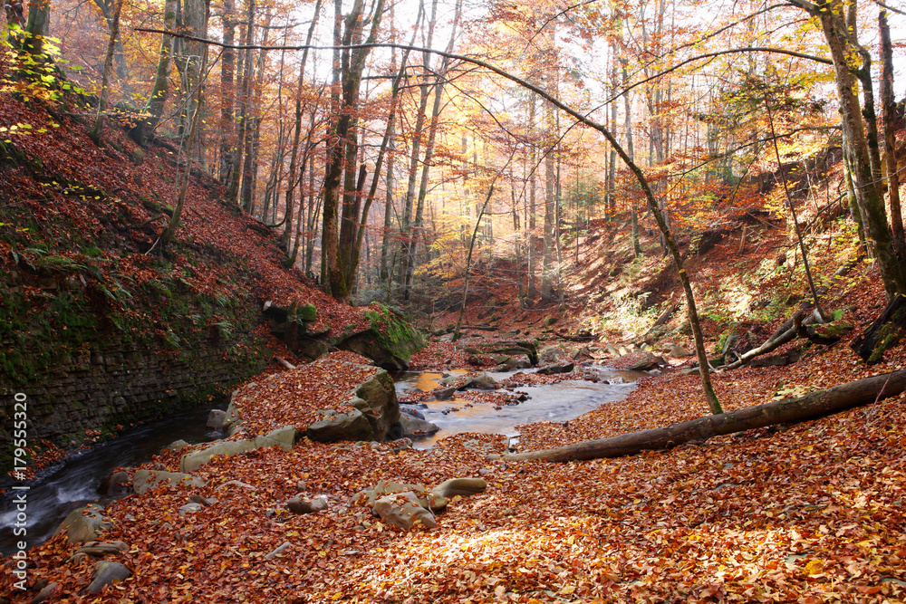Magnificent view of the waterfall in the Autumn Beech Forest in Europe Magnificent view of the waterfall in the Autumn Beech Forest in Europe