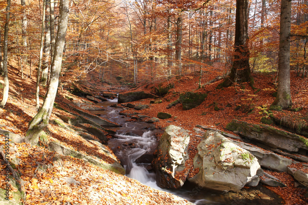 Magnificent view of the waterfall in the Autumn Beech Forest in Europe