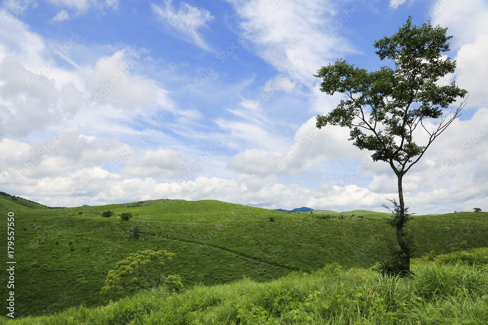 山口県美祢市　秋吉台