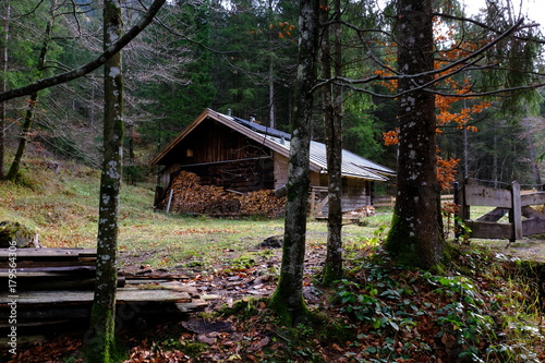 Little house in the forest © bildmaster