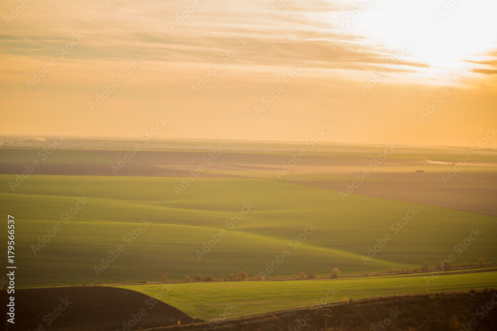 aerial view of an unlimited green field at sunset