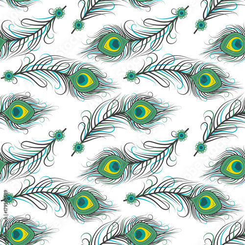 Vector illustration seamless pattern of peacock feathers. Background with feathers