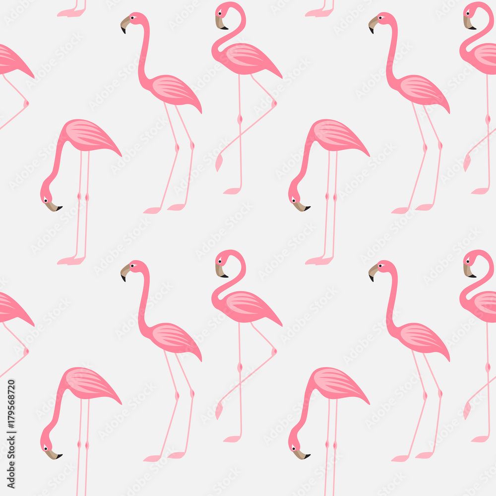 Fototapeta premium Vector illustration seamless pattern of a pink flamingo. Background with bird flamingos