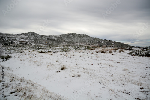 Frozen field in Vitocha