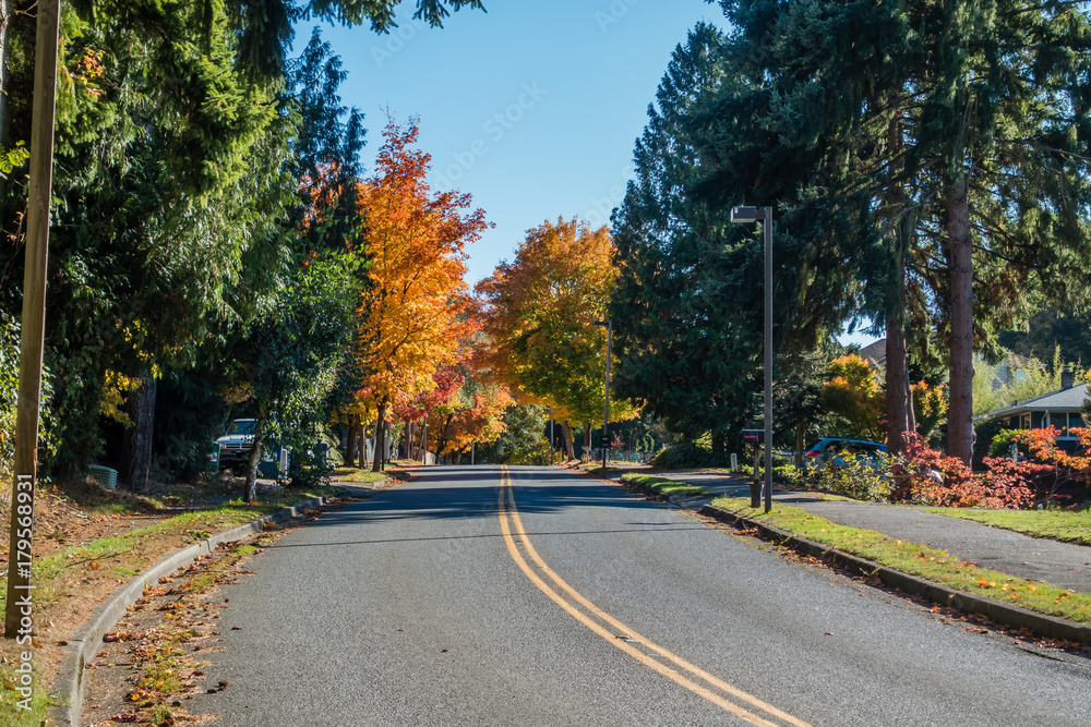 Road Into Autumn