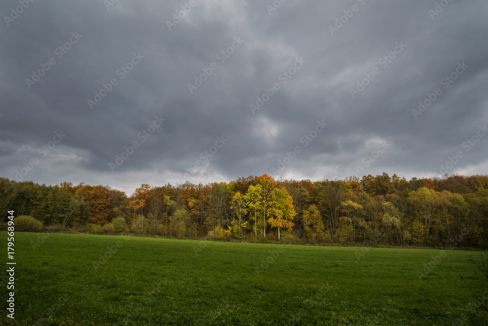 Fototapeta premium Stormy dark clouds over the trees and field. The fall scene