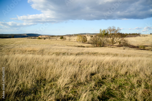 Green field in Bulgaria