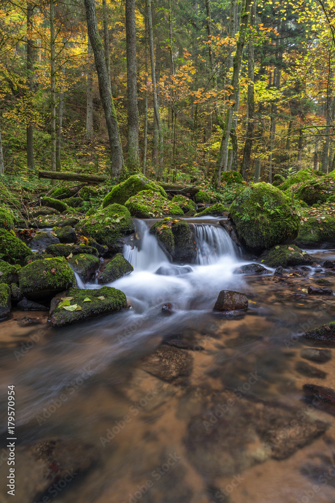 Creek in the woods