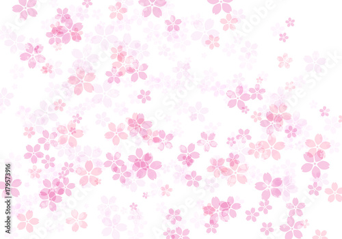 桜 ピンク 01