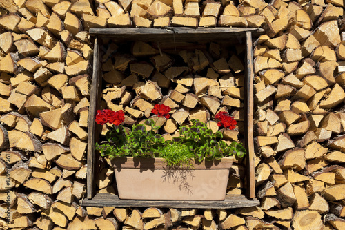 Fototapeta Naklejka Na Ścianę i Meble -  Südtirolimpressionen, Holzstapel mit Blumenschmuck
