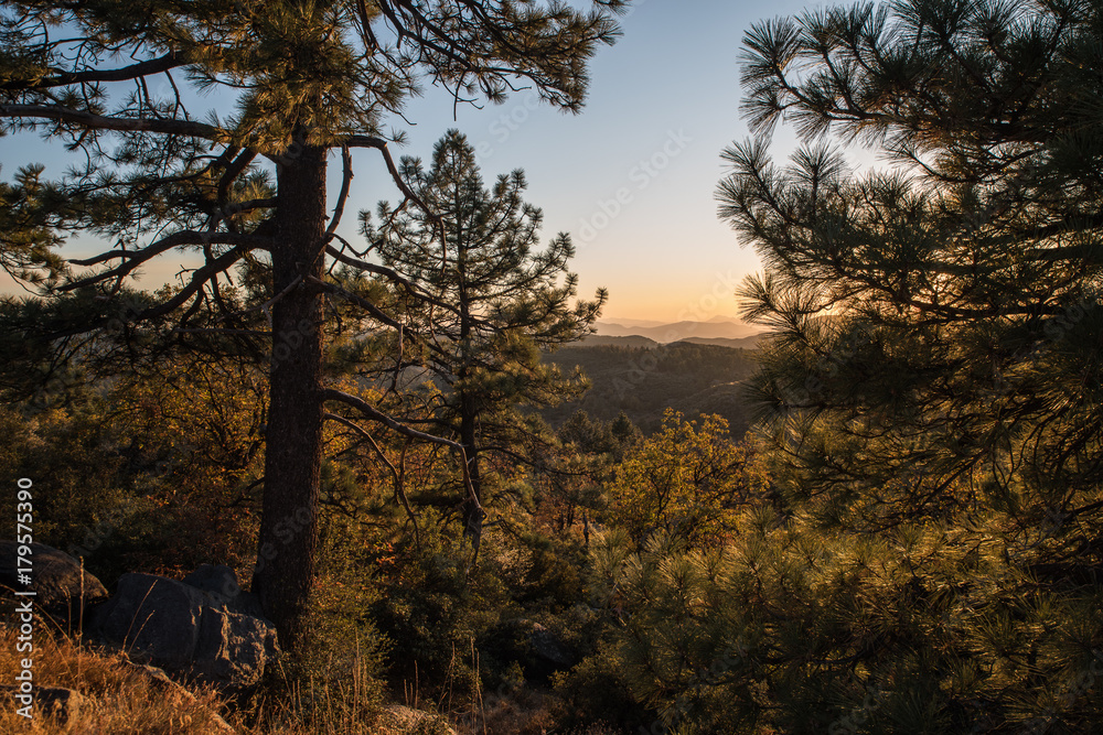 Sunset Landscape near Mt. Laguna Sunset Landscape near Mt. Laguna