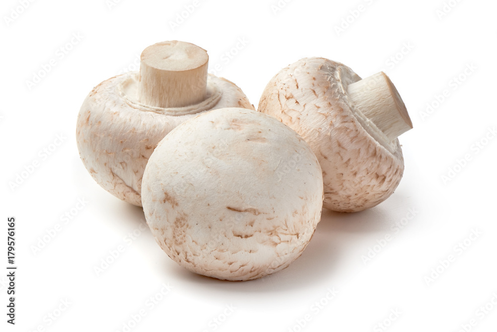 Champignons, close-up, isolated on white background. Champignons, close-up, isolated on white background.