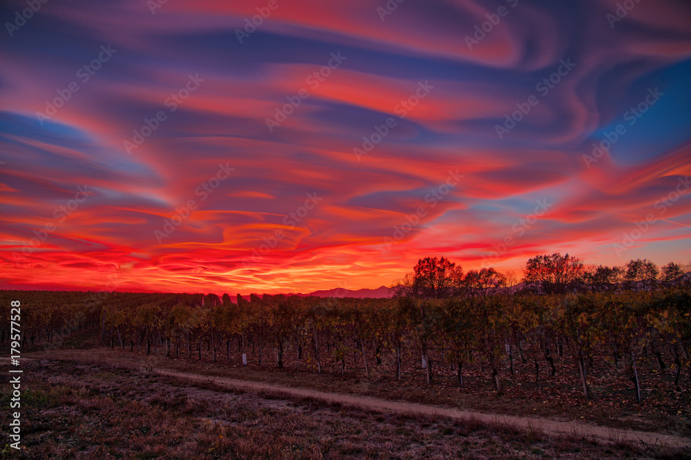 Lenticular clouds, technically known as altocumulus standing lenticularis, at sunset above vineyards in northern Italy
