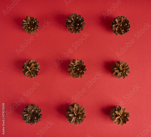 A lot of pine cones on red background. Top view