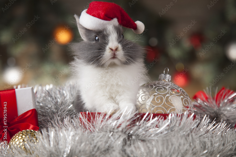 Bunny and Christmas background with winter decoration Bunny and Christmas background with winter decoration