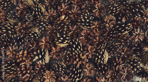 A lot of pine cones. Design mockup © Agave Studio