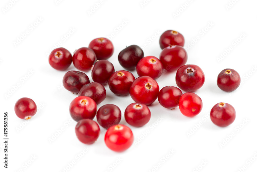 Cranberry Cranberry
