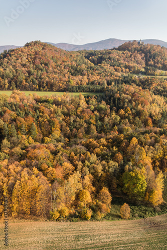 Fototapeta Naklejka Na Ścianę i Meble -  aerial view of the autumn forest