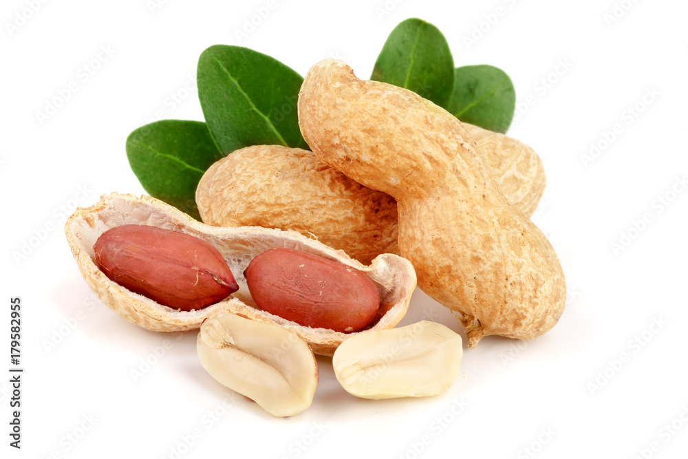 peanuts with leaf isolated on white background peanuts with leaf isolated on white background