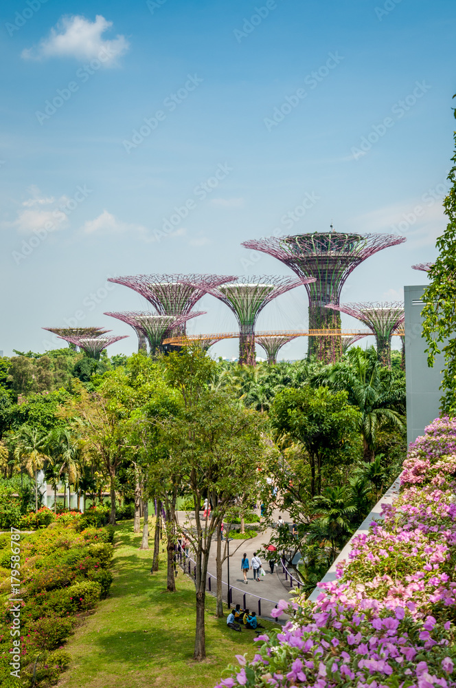 Naklejka premium Baie de Singapour