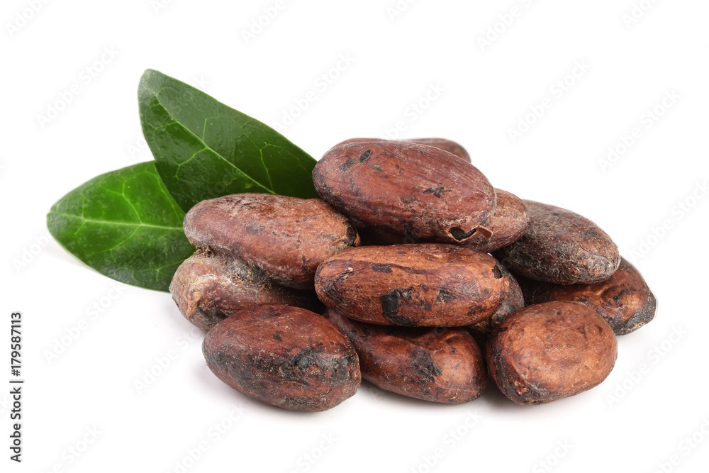 unpeeled cocoa bean with leaf isolated on white background unpeeled cocoa bean with leaf isolated on white background
