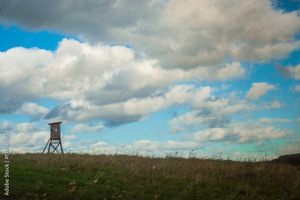 Hunting Stand in Agricultural Landscape